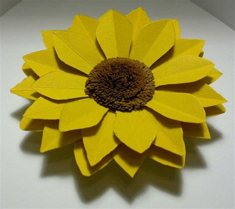 Pin on Sunflower