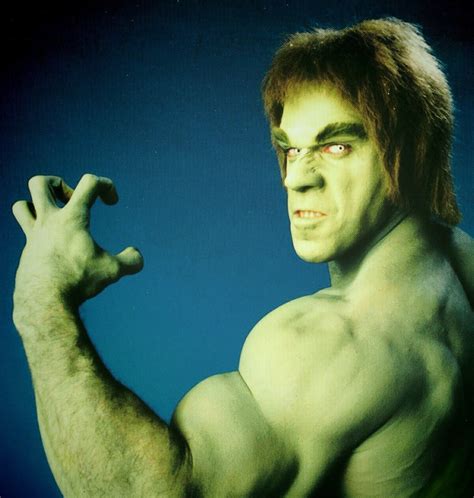 The Incredible Hulk (1978 - 1982) Lou Ferrigno - The Incredible Hulk ...