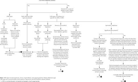 Muscle Weakness in Adults: Evaluation and Differential Diagnosis | AAFP