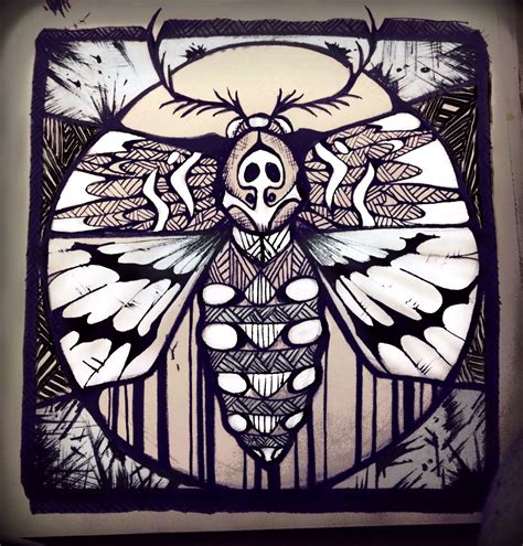 Deaths head hawk moth art. Ink drawn. | Moth art, Art, Painting