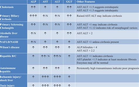 Liver Enzyme Interpretation And Liver Function Tests, 43% OFF