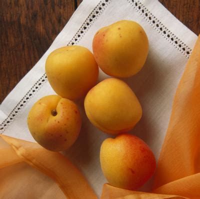 Apricot Varieties | Home Guides | SF Gate