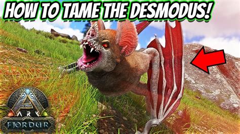 Ark desmodus tame