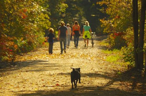 CLSRT Trail Maps | Concord – Lake Sunapee Rail Trail