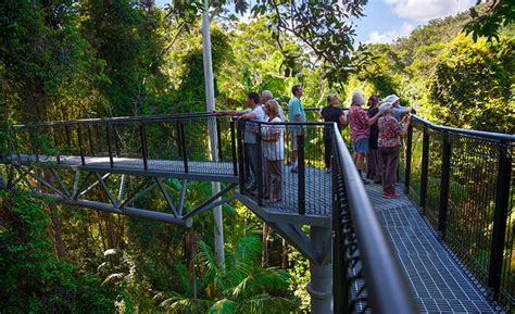 Tamborine Rainforest Skywalk – Hello Brisbane