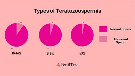 Teratozoospermia: Types, Diagnosis & Treatment | FertilTree