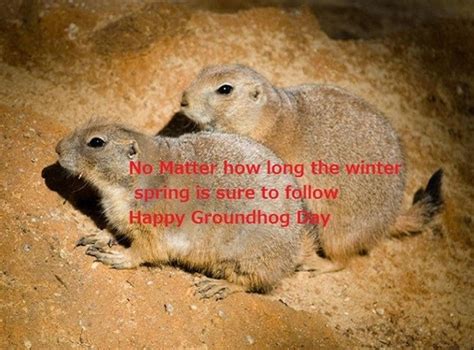 Happy Groundhog Day Motivational Wishes Quotes|Happy Groundhog Day|