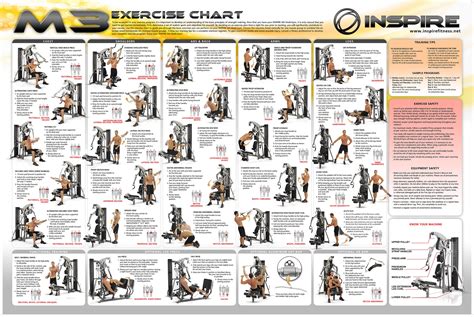 Workout chart, Gym workout chart, Work out routines gym