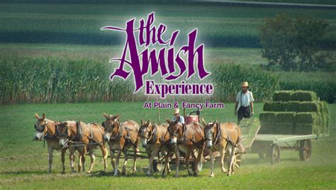 The Amish Experience | at Plain & Fancy Farm.