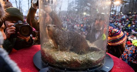 Who Started Groundhog Day? The History Behind the Holiday