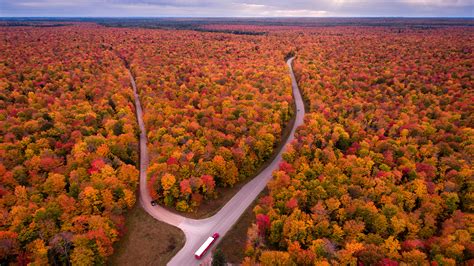 Images USA Michigan Autumn Nature Roads Scenery Forests 1920x1080