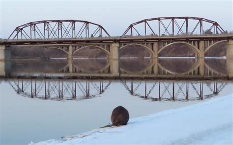 A Saskatoon Bridges optical illusion! 😀 This photo looks like 1 bridge ...