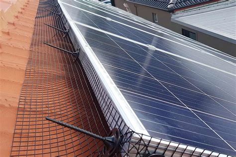 Solar Panels Bird Proofing Services In Sydney | Pestworks