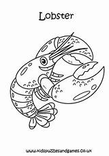 Realistic Lobster Coloring Page sketch template