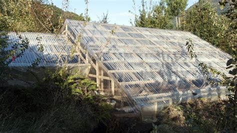 Walipini Greenhouse: Expand Your Growing Season - Ubiquity University