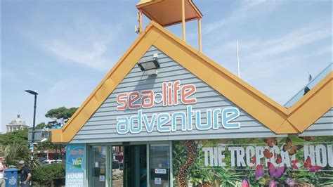 Southend 'Sea life Adventure' ⭐Top Attraction!⭐ - YouTube