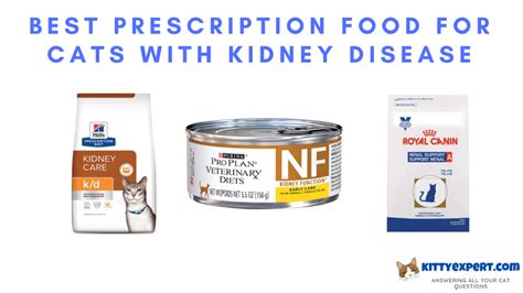 Best Prescription Food for Cats with Kidney Disease – Let Me Cat