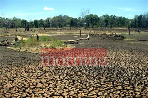 Drought takes a toll in parts of the country - The Morning - Sri Lanka News