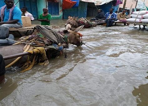 World Bank Approves $137.5 Million for Somalia’s Response to COVID-19, Floods, and Drought ...