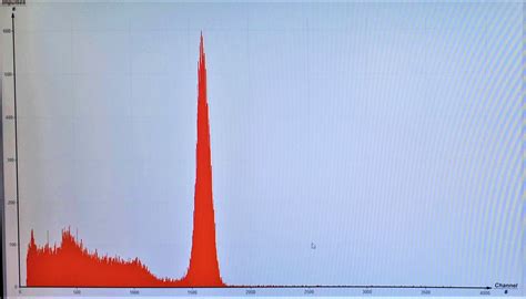 Gamma Ray Spectroscopy | University College Cork