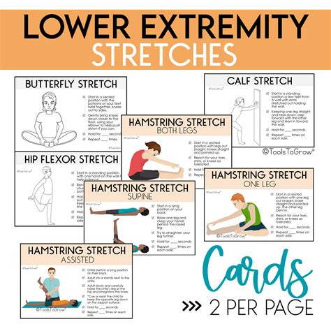 Lower Extremity Strengthening Exercises & Range of Motion/Stretches – Shop Tools To Grow