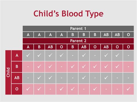 Inheritance of the ABO Blood Groups