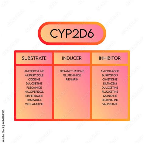 CYP2D6 Cytochrome p450 enzyme pharmaceutical substrates, inhibitors and inducers examples, for ...