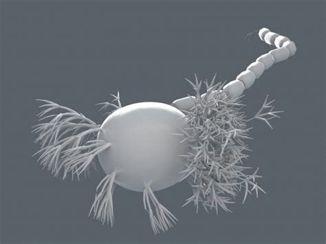 Cell Brain Free 3D Model - .c4d .fbx - Free3D