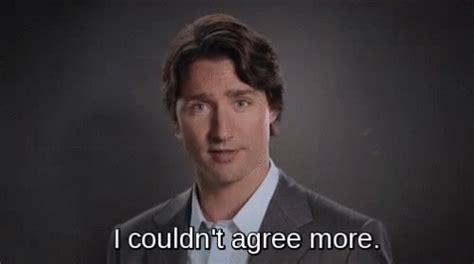 Justin Trudeau I Couldnt Agree More GIF – Justin Trudeau I Couldnt Agree More Agree – discover ...