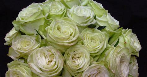 Florafino's Weddings: The "Green Rose" Bouquet