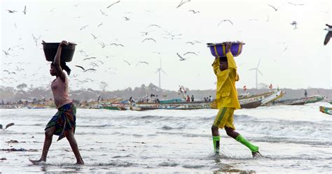 Gambia Tours Special