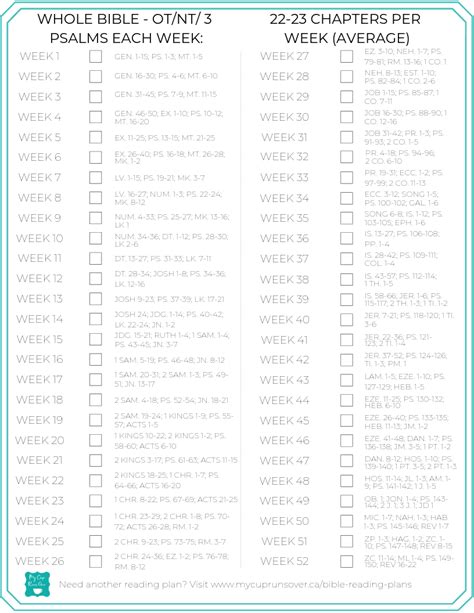 Bible Reading Plans: Should You Read the Bible in One Year?