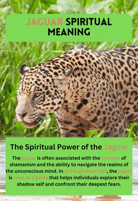 Jaguar Spiritual Meaning