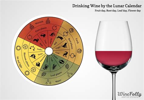 Fruit Day vs. Root Days: Wine Tasting by the Lunar Calendar