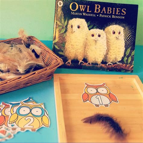 Owl Babies Counting Activity | Clare's Little Tots | Owl preschool ...