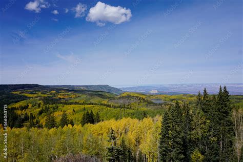 View of the fall colors in Grand Mesa National Forest in Colorado Stock ...