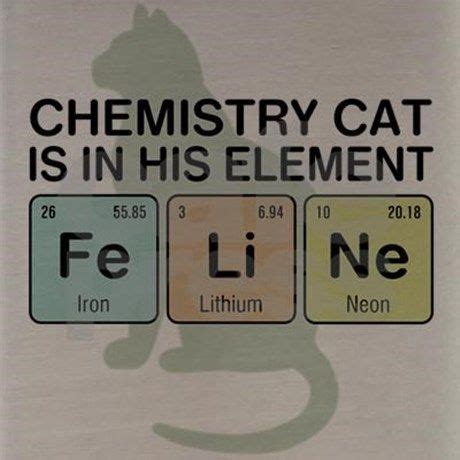 chemistry cat | Chemistry cat, Science puns, Chemistry jokes