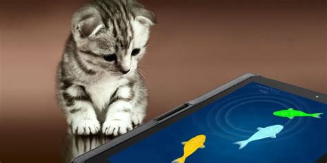 9 iPad and Android Tablet Apps Your Cat Will Love