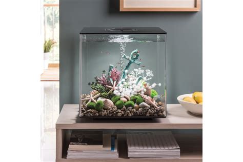 Fish Tank Sizes: How to Choose the Right Aquarium Size | Wayfair