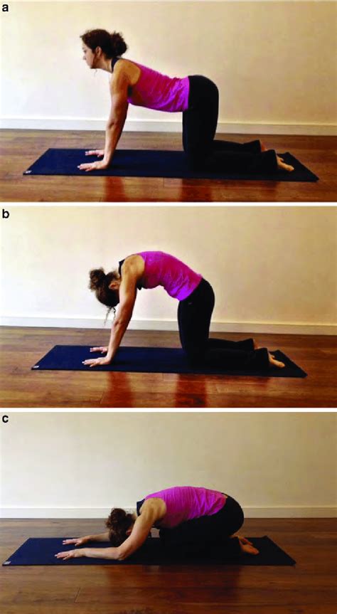 2 Cat, cow and child pose sequence (cakravakasana). Align the body ...