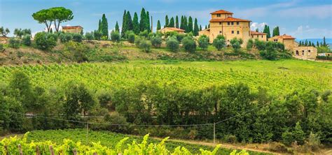 Ultimate Guide To the Tuscany Wine Region