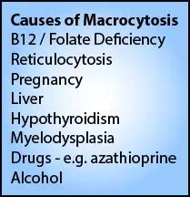 Causes of Macrocytosis - LearnHaem | Haematology Made Simple