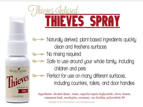 Thieves spray - DIY Show Off ™ - DIY Decorating and Home Improvement ...