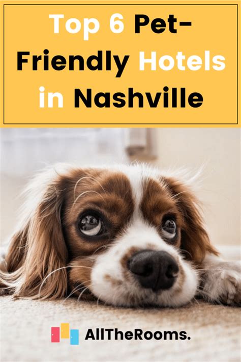 Top 6 Pet-Friendly Hotels in Nashville TN - AllTheRooms - The Vacation ...