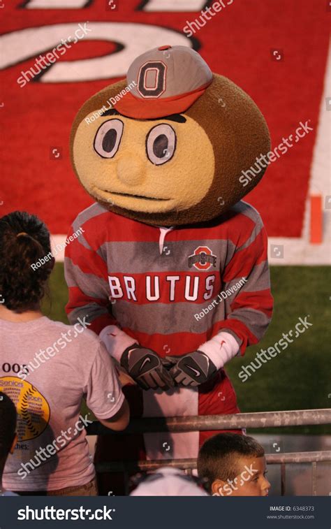 Ohio State College Mascot, Brutus Stock Photo 6348373 : Shutterstock