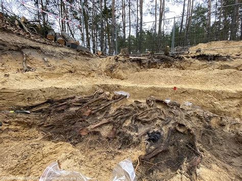 Skeletons of dozens executed by the Nazis in Poland are discovered 80 ...