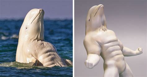 Japanese Artist Turns Hilarious Animal Moments Into Sculptures, And The ...