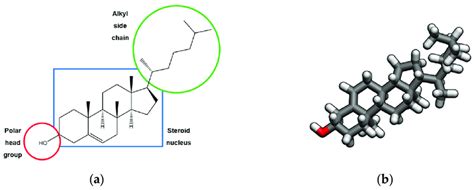 Cholesterol 3d Structure