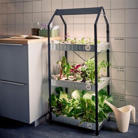 35+ Inspiring Hydroponic Gardening Ideas | Hydroponic gardening, Indoor gardening kit, Hydroponics