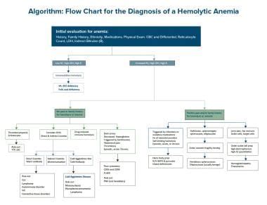 Hemolytic Anemia Workup: Approach Considerations, Complete Blood Cell ...